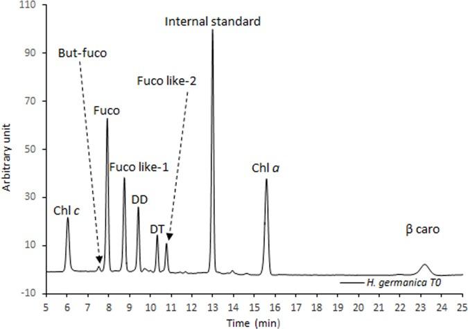 https://cdn.ncbi.nlm.nih.gov/pmc/blobs/0984/5322967/6d652a94d266/pone.0172678.g002.jpg