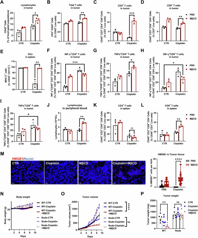 https://cdn.ncbi.nlm.nih.gov/pmc/blobs/0985/11439949/345955ffd05e/41419_2024_7098_Fig8_HTML.jpg