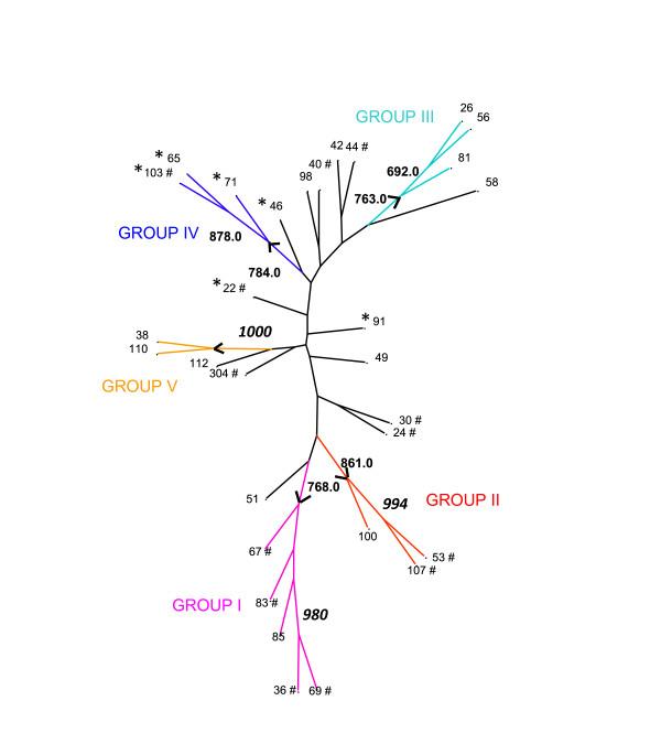https://cdn.ncbi.nlm.nih.gov/pmc/blobs/0985/2396169/9fa6a34fdc90/1471-2148-8-129-5.jpg
