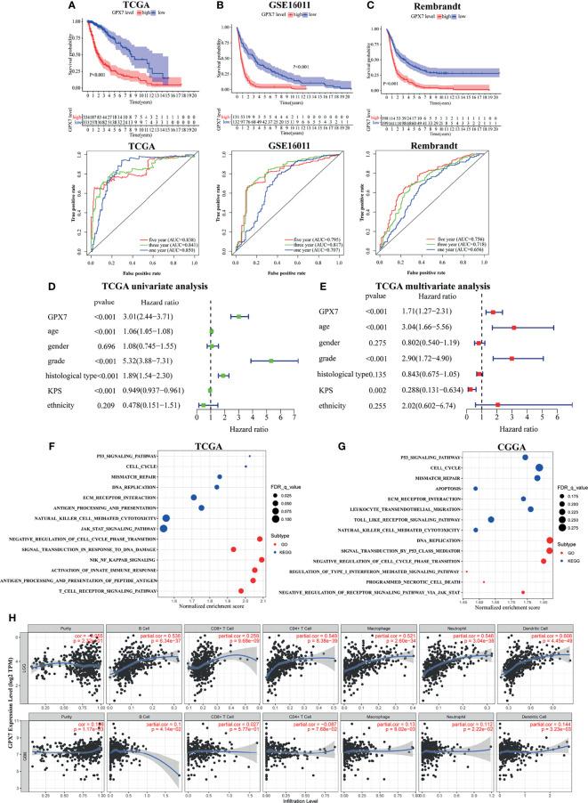 https://cdn.ncbi.nlm.nih.gov/pmc/blobs/0985/8811259/171b39bc8ed0/fonc-11-802124-g002.jpg