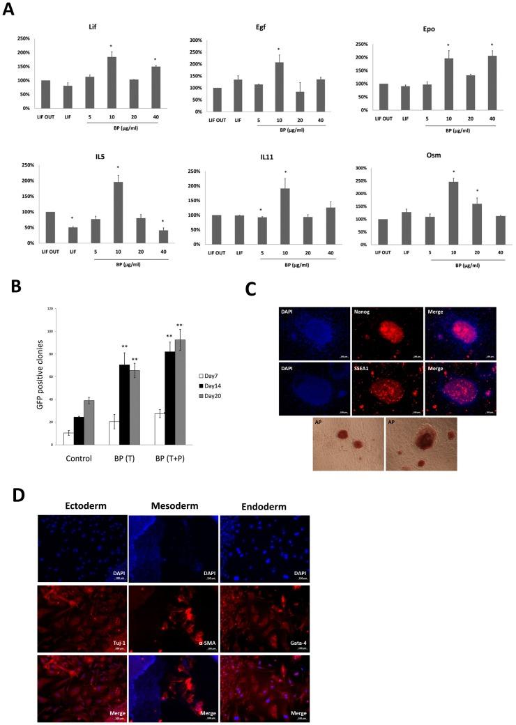 https://cdn.ncbi.nlm.nih.gov/pmc/blobs/0987/3436873/432c83d6a3ac/pone.0044024.g006.jpg