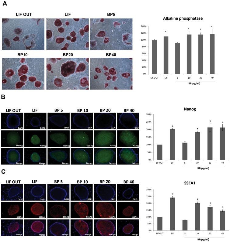 https://cdn.ncbi.nlm.nih.gov/pmc/blobs/0987/3436873/88e185b92148/pone.0044024.g002.jpg