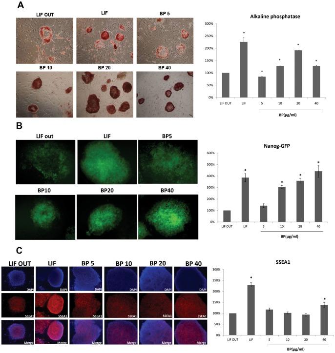 https://cdn.ncbi.nlm.nih.gov/pmc/blobs/0987/3436873/d98bfd73ab59/pone.0044024.g003.jpg