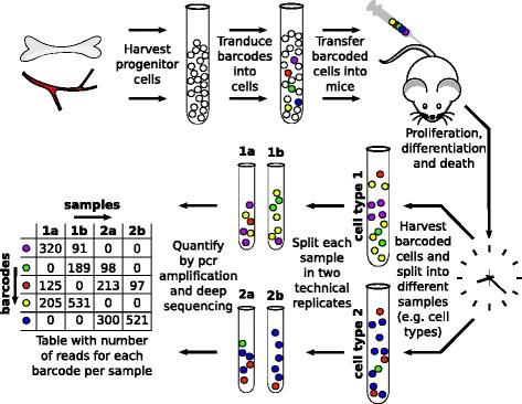 https://cdn.ncbi.nlm.nih.gov/pmc/blobs/0988/4818877/a4cd60b97936/12859_2016_999_Fig1_HTML.jpg