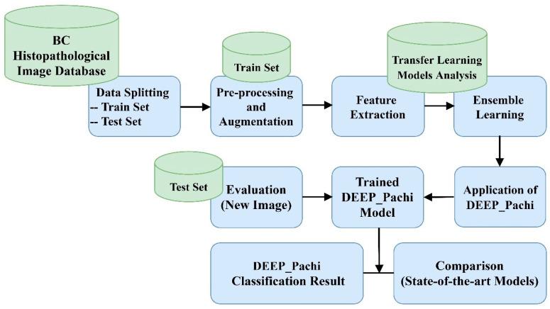 https://cdn.ncbi.nlm.nih.gov/pmc/blobs/0988/9139754/8643c4573523/diagnostics-12-01152-g001.jpg