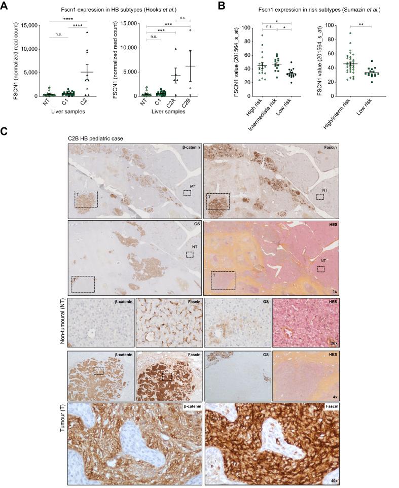 https://cdn.ncbi.nlm.nih.gov/pmc/blobs/098a/10159820/4f89e7089171/gr6.jpg