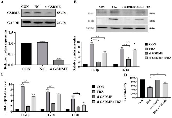 https://cdn.ncbi.nlm.nih.gov/pmc/blobs/098b/12314287/2781576c8ea3/fphar-16-1596694-g005.jpg