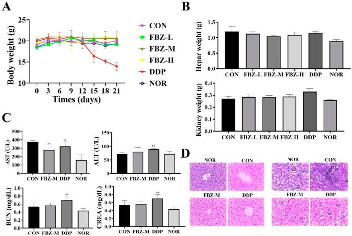 https://cdn.ncbi.nlm.nih.gov/pmc/blobs/098b/12314287/92082586fb7c/fphar-16-1596694-g003.jpg