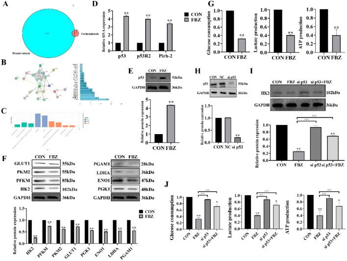 https://cdn.ncbi.nlm.nih.gov/pmc/blobs/098b/12314287/d28fa9801b5d/fphar-16-1596694-g007.jpg