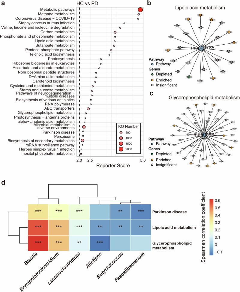 https://cdn.ncbi.nlm.nih.gov/pmc/blobs/098c/11513973/19d65de7009e/41531_2024_802_Fig5_HTML.jpg