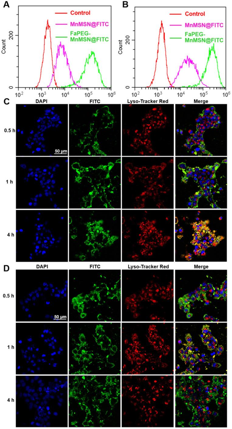 https://cdn.ncbi.nlm.nih.gov/pmc/blobs/098c/7449918/ce77acfd1c3c/thnov10p9865g004.jpg