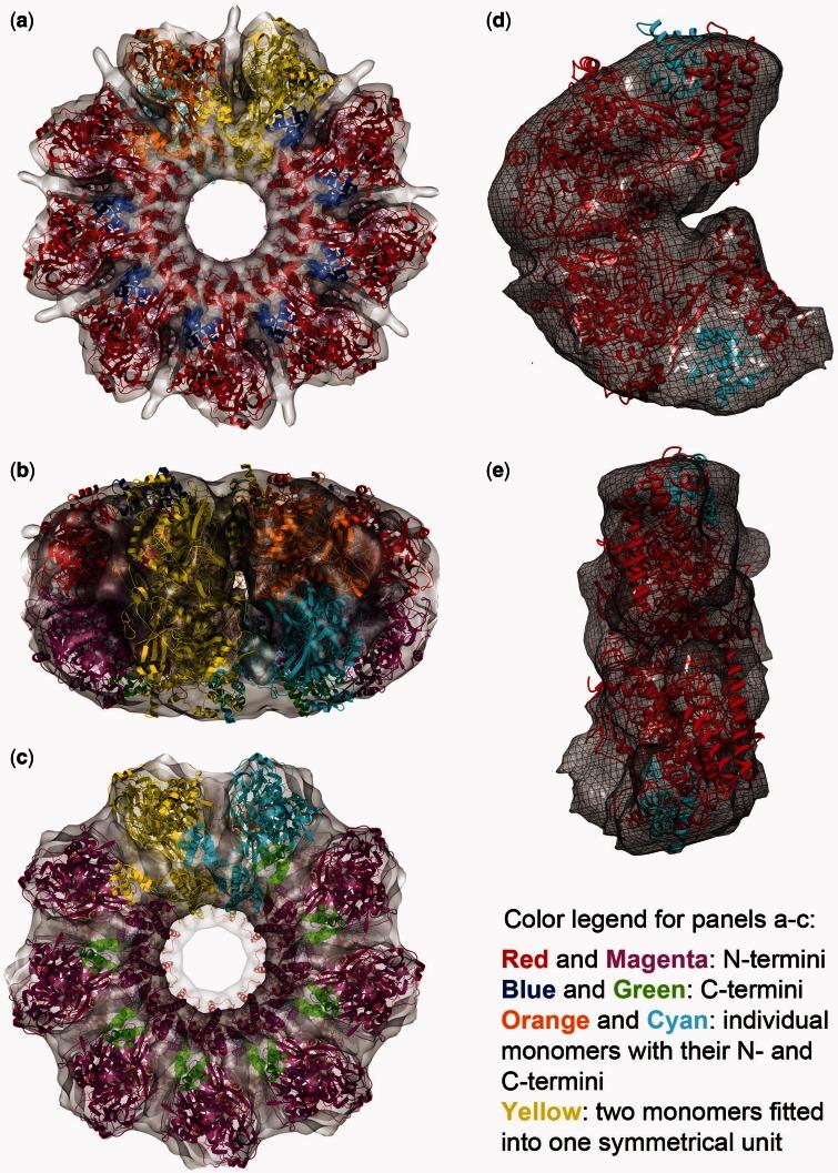 https://cdn.ncbi.nlm.nih.gov/pmc/blobs/098d/3675482/461a768a83d8/gkt266f3p.jpg