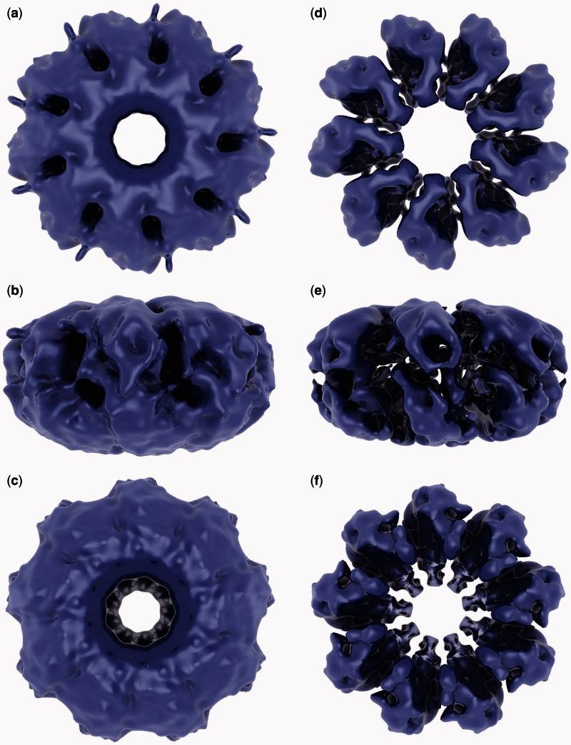 https://cdn.ncbi.nlm.nih.gov/pmc/blobs/098d/3675482/65a77b026c7c/gkt266f2p.jpg