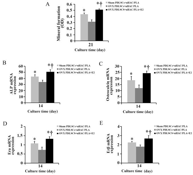 https://cdn.ncbi.nlm.nih.gov/pmc/blobs/098d/4866970/f8427a06d245/IJMM-37-06-1475-g06.jpg