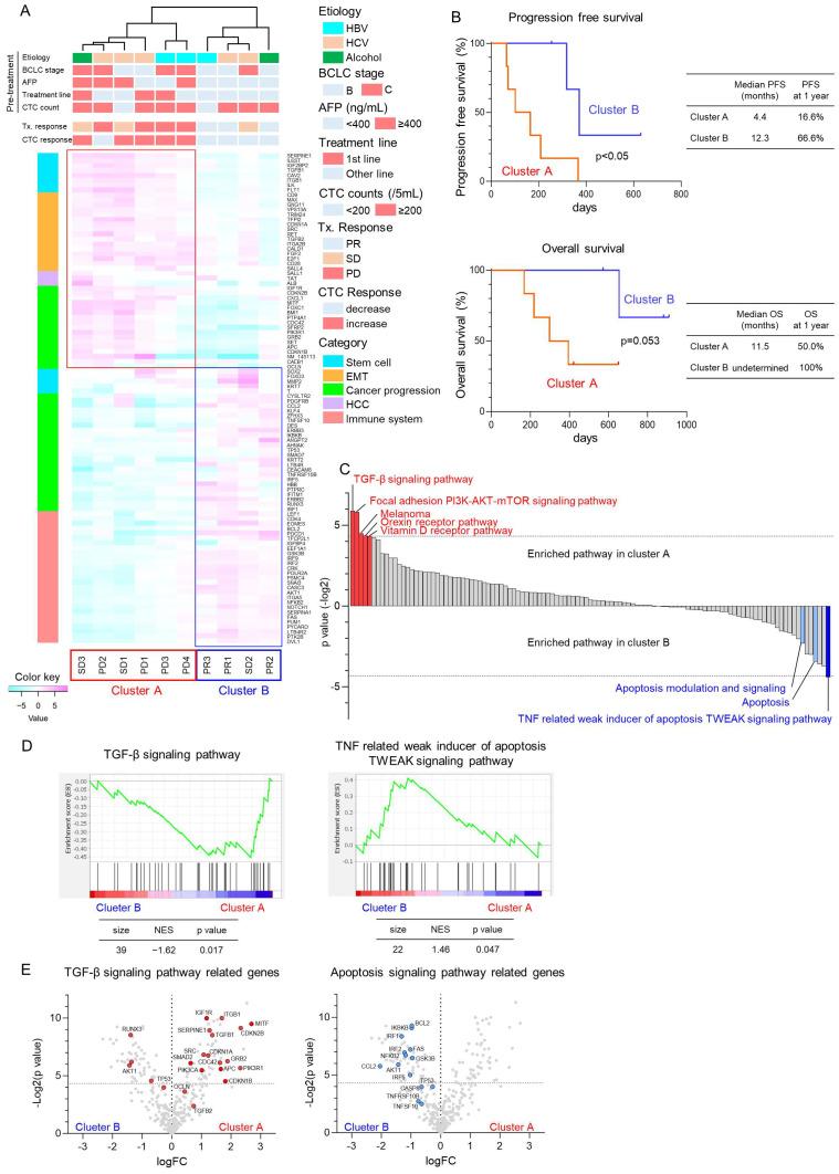 https://cdn.ncbi.nlm.nih.gov/pmc/blobs/0990/11240647/05133bfa7ff3/cancers-16-02410-g002.jpg