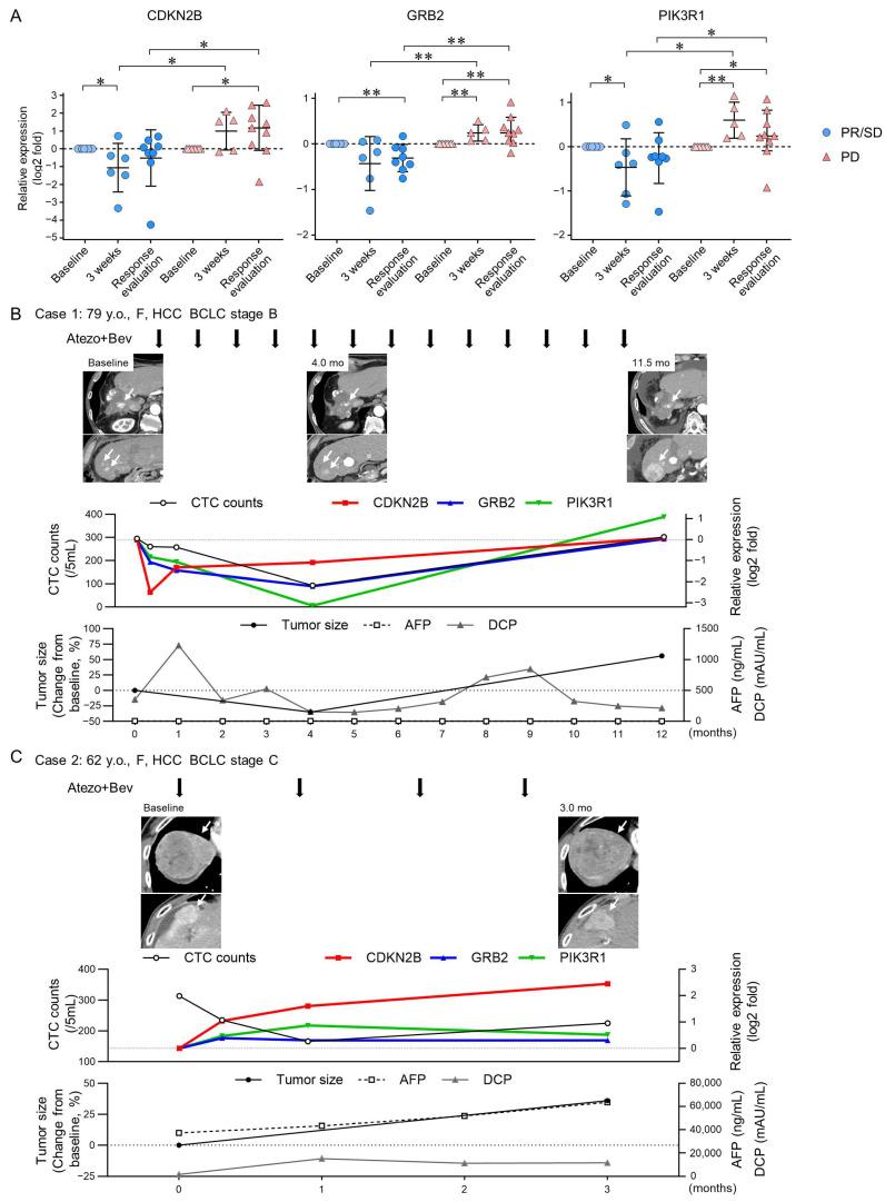 https://cdn.ncbi.nlm.nih.gov/pmc/blobs/0990/11240647/a99073f6f5ce/cancers-16-02410-g003.jpg