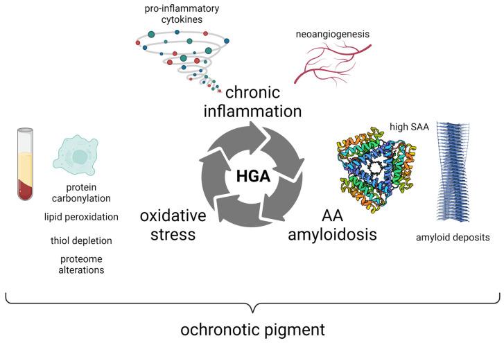https://cdn.ncbi.nlm.nih.gov/pmc/blobs/0992/11201470/a0f339318326/cells-13-01072-g003.jpg