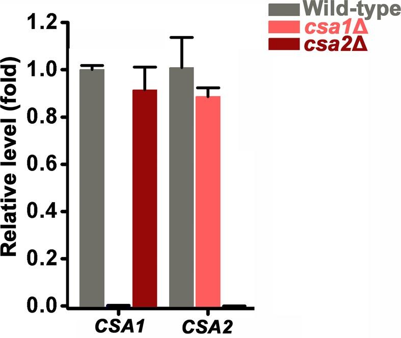 https://cdn.ncbi.nlm.nih.gov/pmc/blobs/0992/6235564/3161073d12fd/elife-38683-fig6-figsupp3.jpg