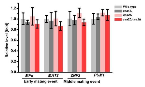 https://cdn.ncbi.nlm.nih.gov/pmc/blobs/0992/6235564/6de63afbbe1b/elife-38683-resp-fig1.jpg