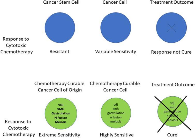 https://cdn.ncbi.nlm.nih.gov/pmc/blobs/0993/7295948/8fba40b4572f/fgene-11-00426-g001.jpg