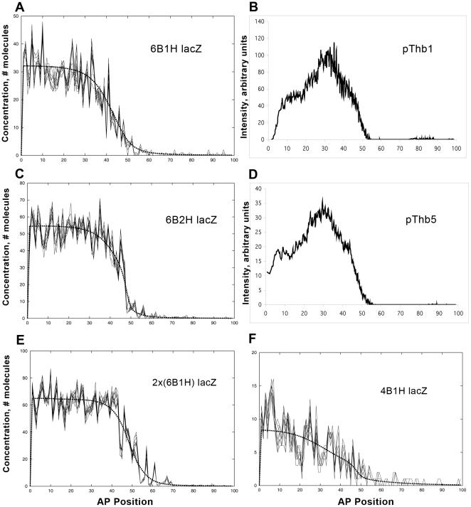 https://cdn.ncbi.nlm.nih.gov/pmc/blobs/0994/3033364/1589e6ce8678/pcbi.1001069.g007.jpg