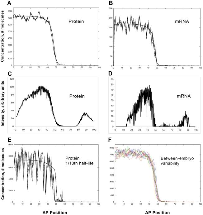 https://cdn.ncbi.nlm.nih.gov/pmc/blobs/0994/3033364/43f1162e7129/pcbi.1001069.g003.jpg