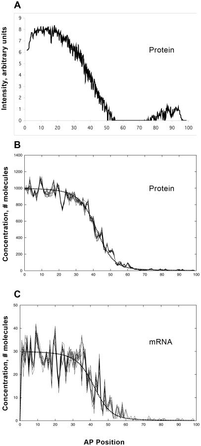 https://cdn.ncbi.nlm.nih.gov/pmc/blobs/0994/3033364/fbe347e57217/pcbi.1001069.g004.jpg