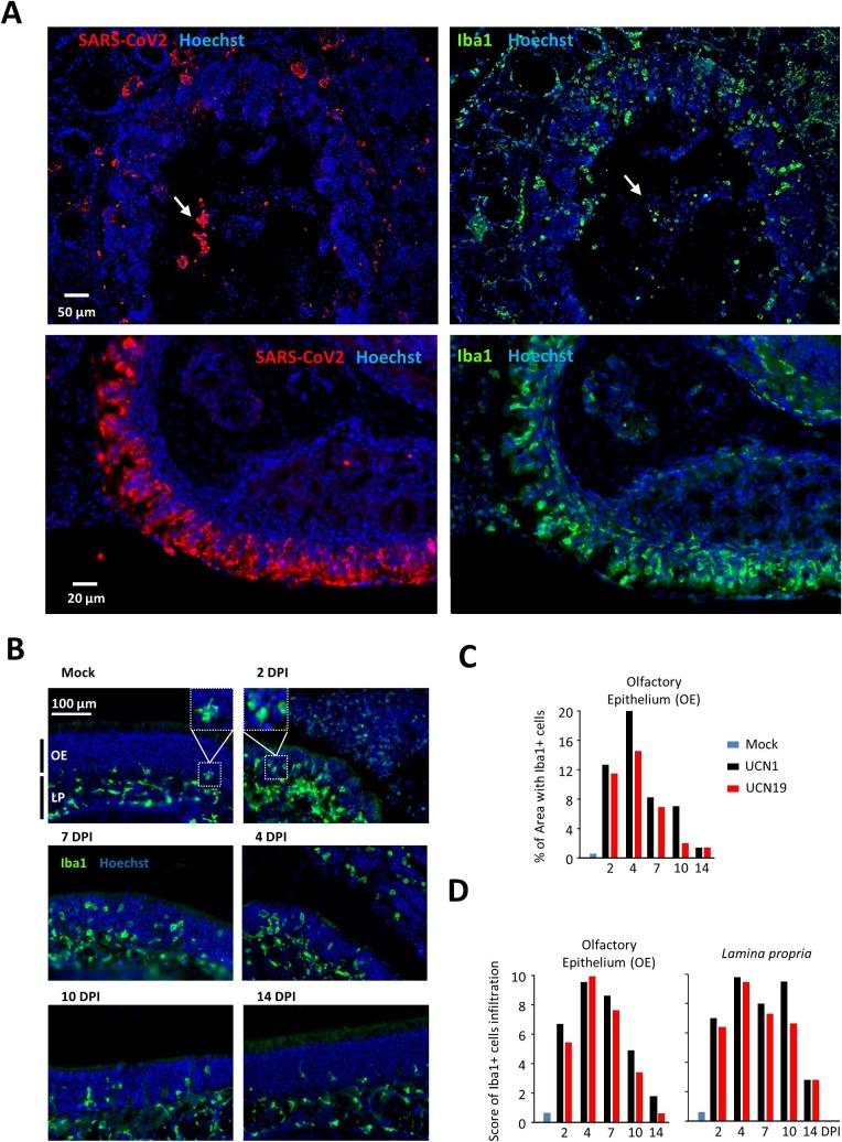 https://cdn.ncbi.nlm.nih.gov/pmc/blobs/0995/7332942/d39fbe41839e/gr4_lrg.jpg