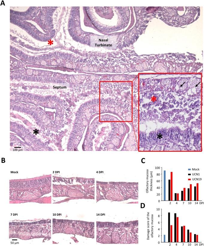 https://cdn.ncbi.nlm.nih.gov/pmc/blobs/0995/7332942/d6ef99957dd0/gr1_lrg.jpg