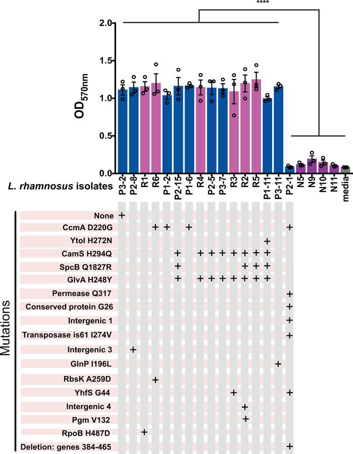 https://cdn.ncbi.nlm.nih.gov/pmc/blobs/0999/6980696/06d33da1b606/nihms-1540625-f0007.jpg