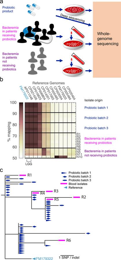 https://cdn.ncbi.nlm.nih.gov/pmc/blobs/0999/6980696/6dd18e3c5b5a/nihms-1540625-f0001.jpg