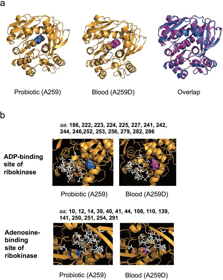 https://cdn.ncbi.nlm.nih.gov/pmc/blobs/0999/6980696/e4a23873efdc/nihms-1540625-f0006.jpg
