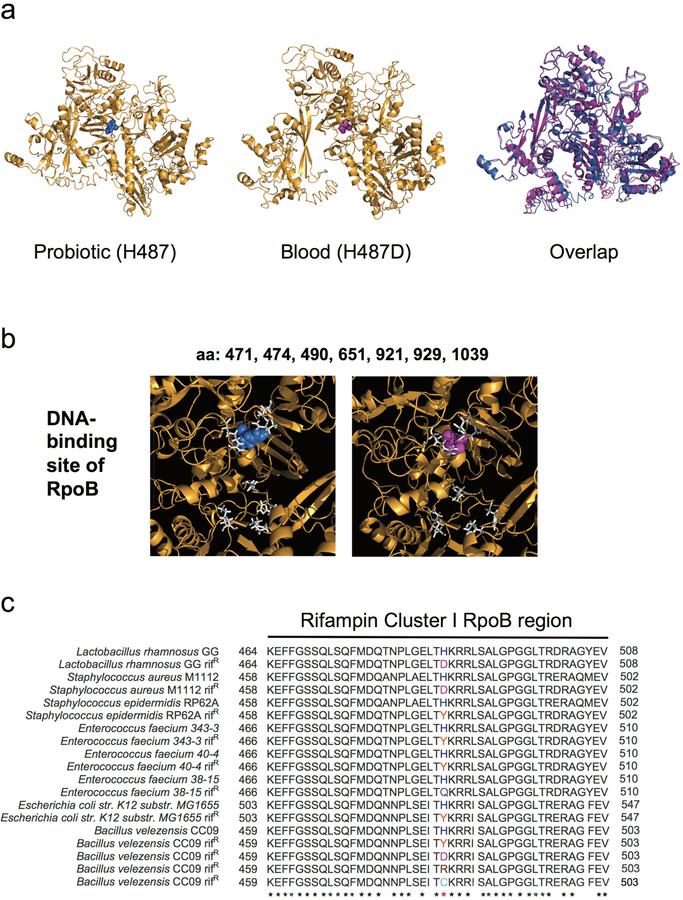 https://cdn.ncbi.nlm.nih.gov/pmc/blobs/0999/6980696/ed9b06182e8e/nihms-1540625-f0005.jpg