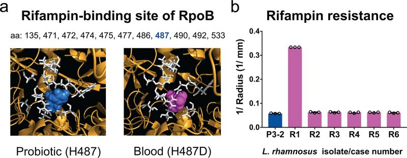 https://cdn.ncbi.nlm.nih.gov/pmc/blobs/0999/6980696/f4fd4c941209/nihms-1540625-f0003.jpg