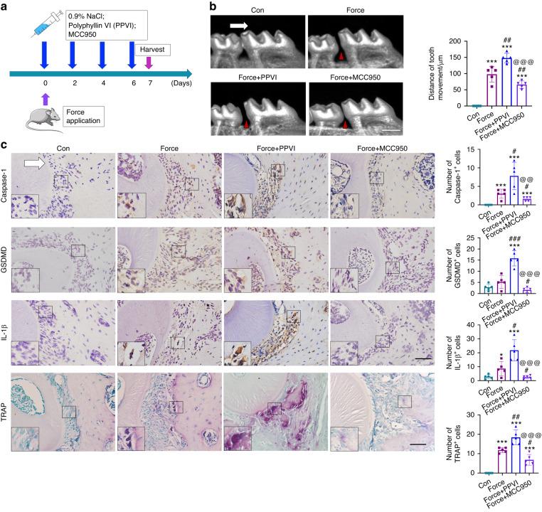 https://cdn.ncbi.nlm.nih.gov/pmc/blobs/099b/10788340/0eb3742aa859/41368_2023_268_Fig2_HTML.jpg