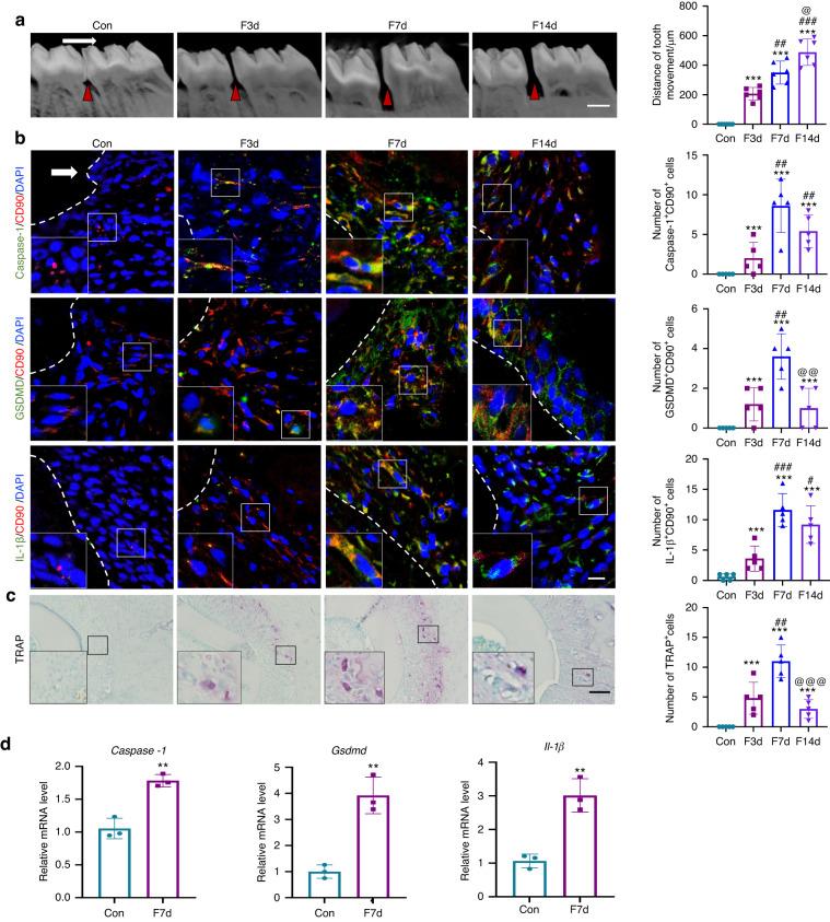 https://cdn.ncbi.nlm.nih.gov/pmc/blobs/099b/10788340/12d08f545dcf/41368_2023_268_Fig1_HTML.jpg