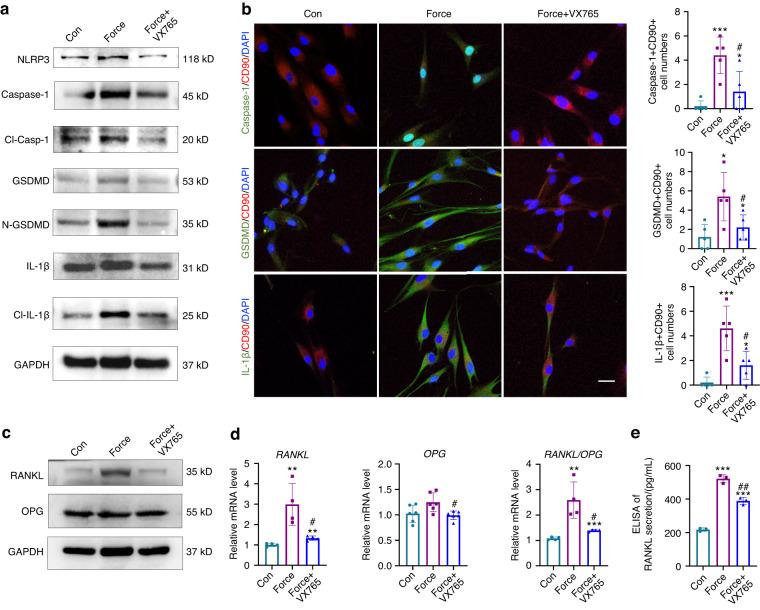https://cdn.ncbi.nlm.nih.gov/pmc/blobs/099b/10788340/5ee058d3b3b2/41368_2023_268_Fig6_HTML.jpg