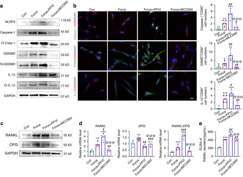 https://cdn.ncbi.nlm.nih.gov/pmc/blobs/099b/10788340/7e8499bad286/41368_2023_268_Fig5_HTML.jpg