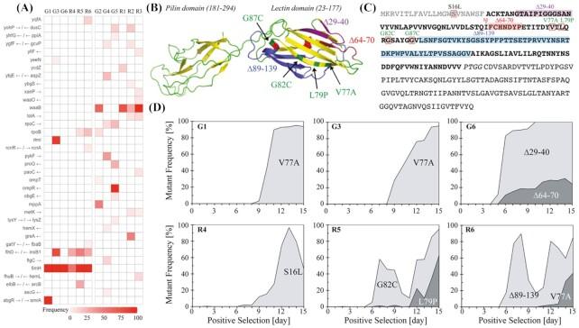 https://cdn.ncbi.nlm.nih.gov/pmc/blobs/099d/10117834/805a3b446cf9/uqac001fig2.jpg