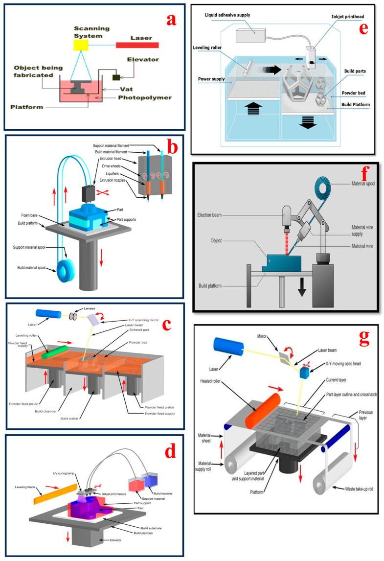 https://cdn.ncbi.nlm.nih.gov/pmc/blobs/099d/10813523/118629cf709b/bioengineering-11-00032-g003.jpg
