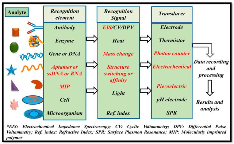 https://cdn.ncbi.nlm.nih.gov/pmc/blobs/099d/10813523/2345ac9e5c15/bioengineering-11-00032-g002.jpg