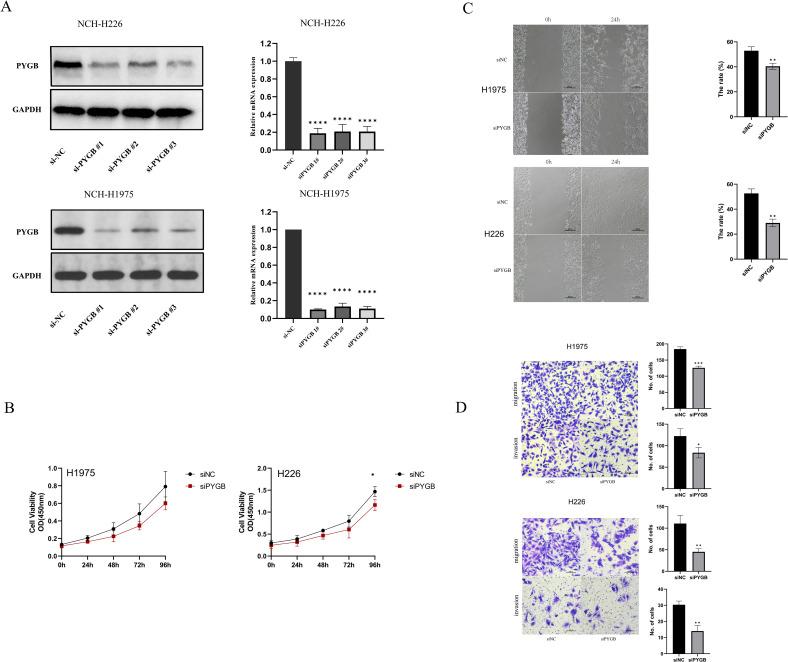https://cdn.ncbi.nlm.nih.gov/pmc/blobs/099e/12127346/4628336f95a6/fimmu-16-1536248-g004.jpg
