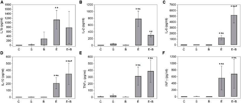 https://cdn.ncbi.nlm.nih.gov/pmc/blobs/09a1/6018210/c39feaabcae4/fphar-09-00649-g004.jpg