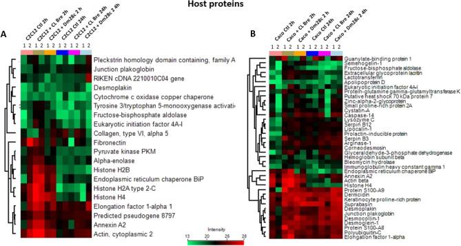 https://cdn.ncbi.nlm.nih.gov/pmc/blobs/09a3/10904747/f2175409c800/41598_2024_55302_Fig5_HTML.jpg