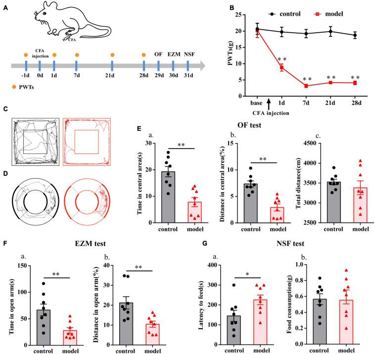 https://cdn.ncbi.nlm.nih.gov/pmc/blobs/09a4/8287862/03125c188b06/fnins-15-691931-g001.jpg