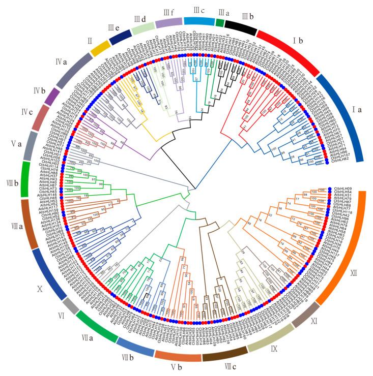https://cdn.ncbi.nlm.nih.gov/pmc/blobs/09a5/10648185/934ec57d0fc3/plants-12-03764-g001.jpg