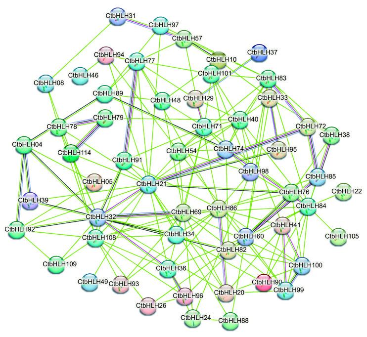 https://cdn.ncbi.nlm.nih.gov/pmc/blobs/09a5/10648185/bc5912bbd699/plants-12-03764-g004.jpg