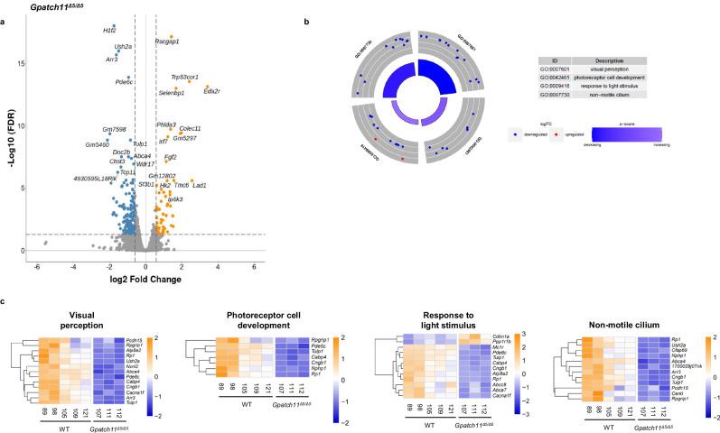 https://cdn.ncbi.nlm.nih.gov/pmc/blobs/09a5/11582697/d46e343b5d5d/41467_2024_54549_Fig6_HTML.jpg