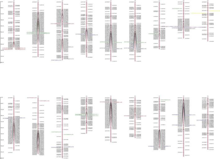 https://cdn.ncbi.nlm.nih.gov/pmc/blobs/09a7/9950559/bfd617a42a0f/fnut-10-1105207-g002.jpg