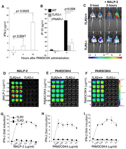 https://cdn.ncbi.nlm.nih.gov/pmc/blobs/09ab/2857745/2563dc5f1c7b/pone.0010250.g003.jpg